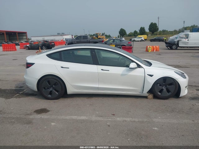 Продаж на аукціоні авто 2023 Tesla Model 3 Rear-wheel Drive, vin: 5YJ3E1EAXPF699395, номер лоту: 43131983