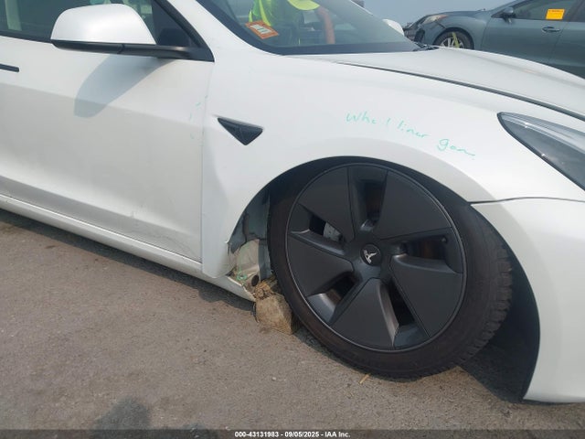Продаж на аукціоні авто 2023 Tesla Model 3 Rear-wheel Drive, vin: 5YJ3E1EAXPF699395, номер лоту: 43131983