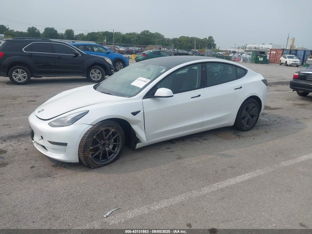 Продаж на аукціоні авто 2023 Tesla Model 3 Rear-wheel Drive, vin: 5YJ3E1EAXPF699395, номер лоту: 43131983