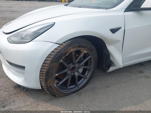 Продаж на аукціоні авто 2023 Tesla Model 3 Rear-wheel Drive, vin: 5YJ3E1EAXPF699395, номер лоту: 43131983
