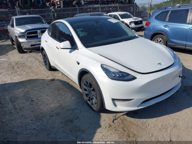 2022 TESLA MODEL Y 7SAYGDEE8NA018670 Photo 0