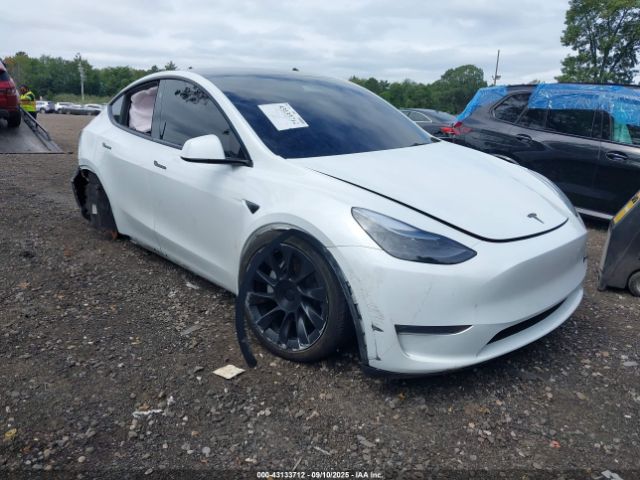 2024 TESLA MODEL Y 7SAYGDEE9RA221671
