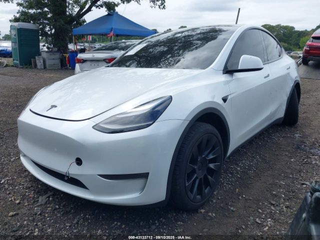 2024 TESLA MODEL Y 7SAYGDEE9RA221671 Photo 1