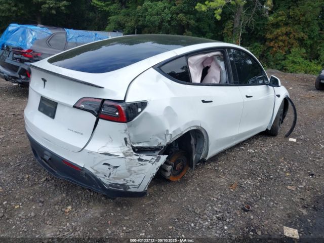 2024 TESLA MODEL Y 7SAYGDEE9RA221671 Photo 3