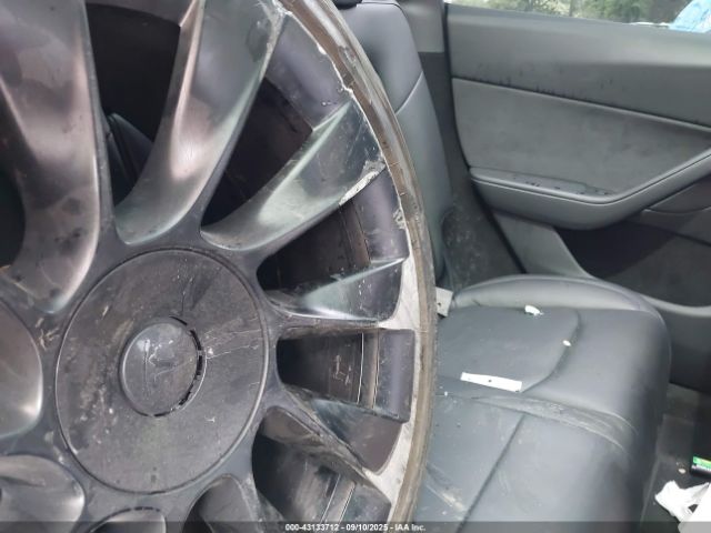 2024 TESLA MODEL Y 7SAYGDEE9RA221671 Photo 7