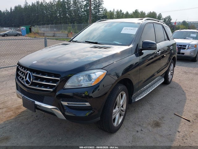 Mercedes-Benz Ml-Class 2015 4JGDA5HB4FA538412 Image 2
