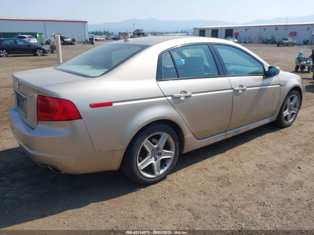 2004 ACURA TL 19UUA66234A045204 Photo 3