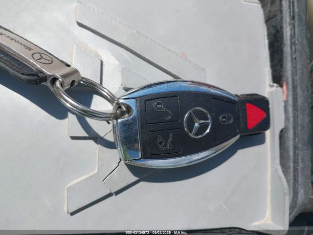 2015 MERCEDES-BENZ GL 550 4JGDF7DEXFA460134 Photo 10