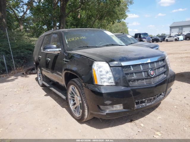 2010 CADILLAC ESCALADE 1GYUKDEF0AR160855