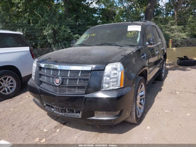 2010 CADILLAC ESCALADE 1GYUKDEF0AR160855 Photo 1
