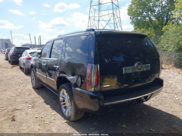 2010 CADILLAC ESCALADE 1GYUKDEF0AR160855 Photo 2