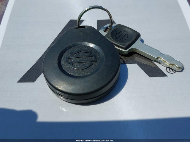 1HD1YWZ15RB022393 Harley-Davidson 117 Balanced