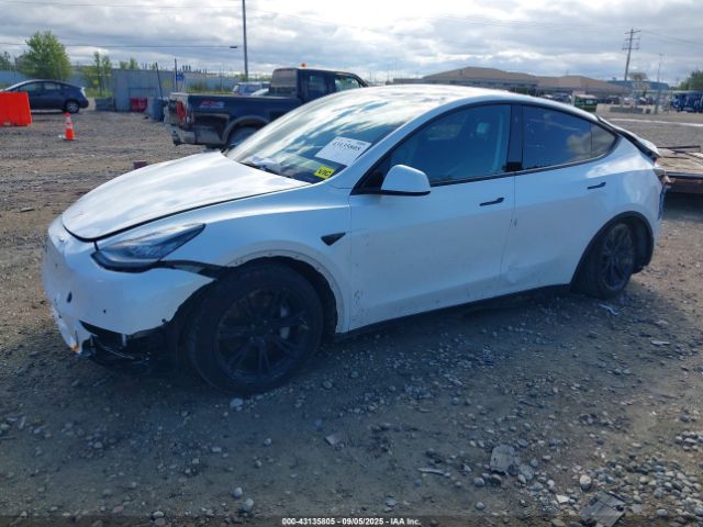 2022 TESLA MODEL Y 7SAYGDEE1NA009518 Photo 1