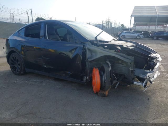 2022 TESLA MODEL Y 7SAYGDEE4NF440177 Photo 0