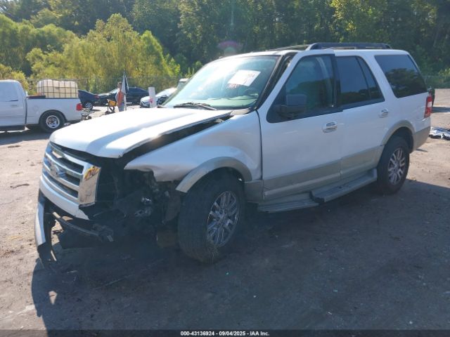 2010 FORD EXPEDITION 1FMJU1H56AEA07257 Photo 1