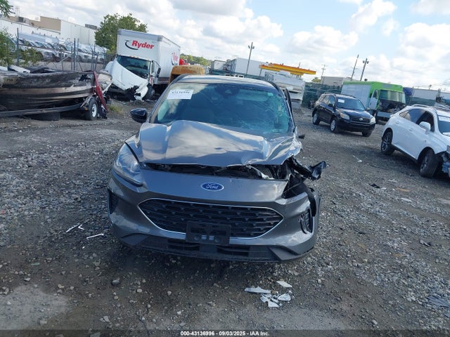 1FMCU9G60MUB26305 Ford dragon di tc