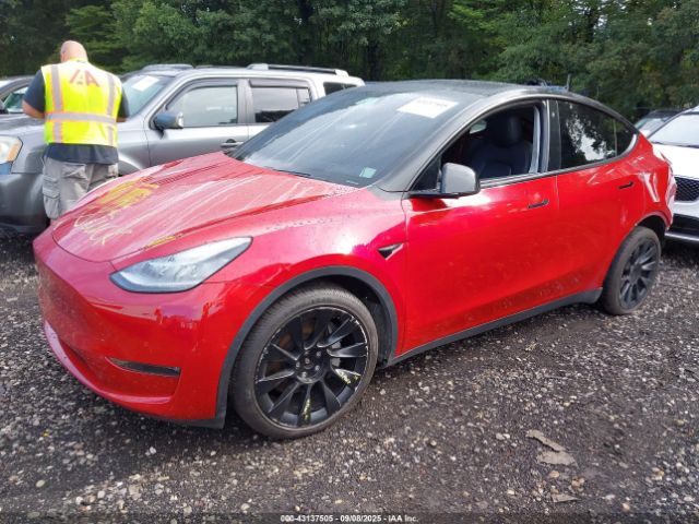 2020 TESLA MODEL Y 5YJYGDEE0LF012780 Photo 1
