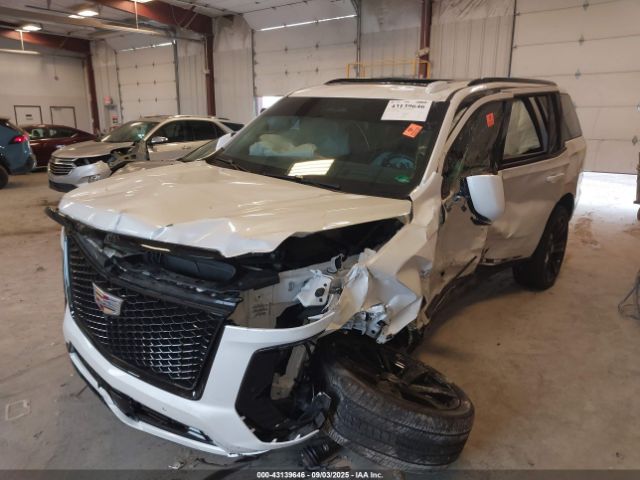 2025 CADILLAC ESCALADE 1GYS9GRLXSR172744 Photo 1