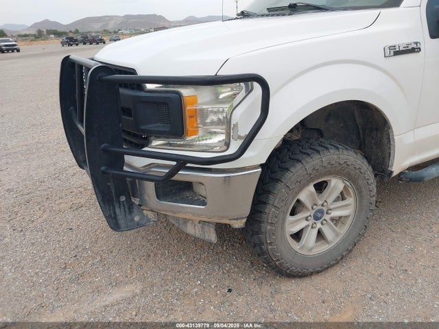 Ford 5.0l 4v 2019 1FTFX1E55KKC23366 Image 6