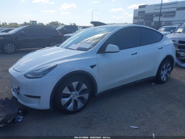 2023 TESLA MODEL Y 7SAYGDEE7PA135935 Photo 1