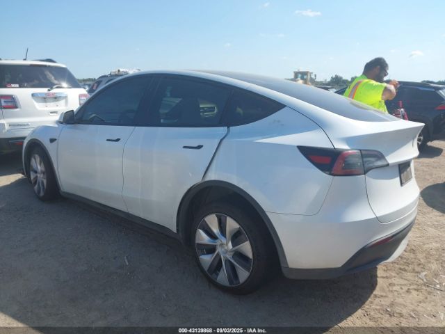 2023 TESLA MODEL Y 7SAYGDEE7PA135935 Photo 2