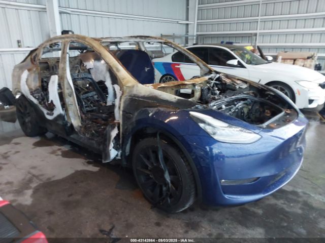 2021 TESLA MODEL Y 5YJYGDEE5MF263019 Photo 0