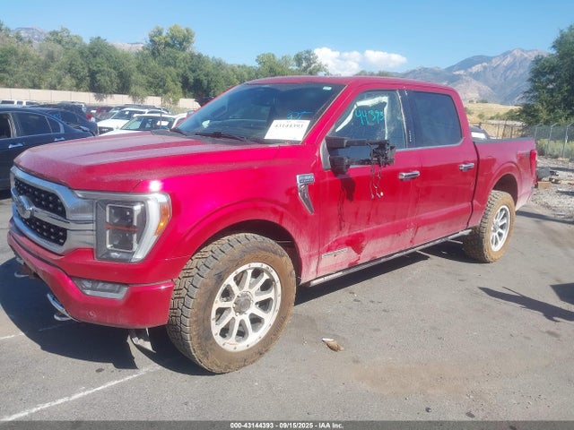1FTFW1ED0NFC17143 Ford F-150 Platinum