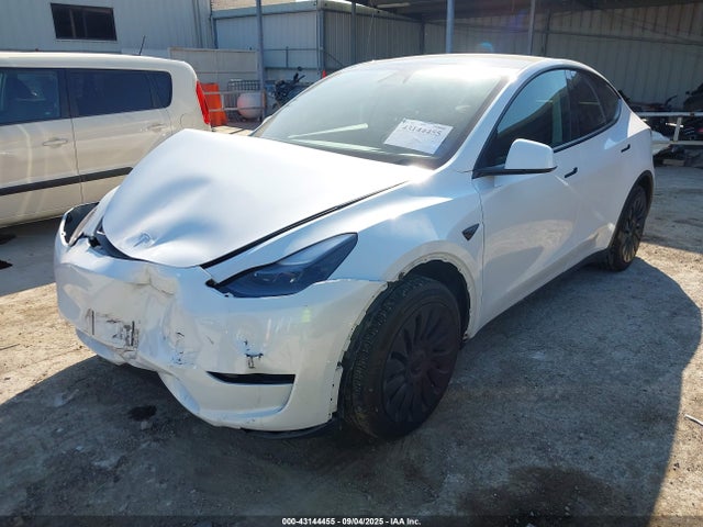 Tesla 2024 2024 7SAYGDED0RF038413 Image 2