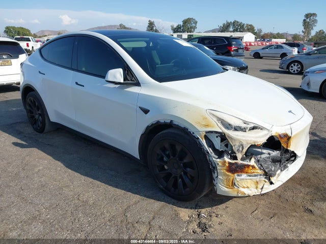 2023 TESLA MODEL Y 7SAYGDEE6PA023045 Photo 0