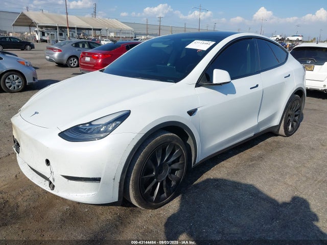 2023 TESLA MODEL Y 7SAYGDEE6PA023045 Photo 1