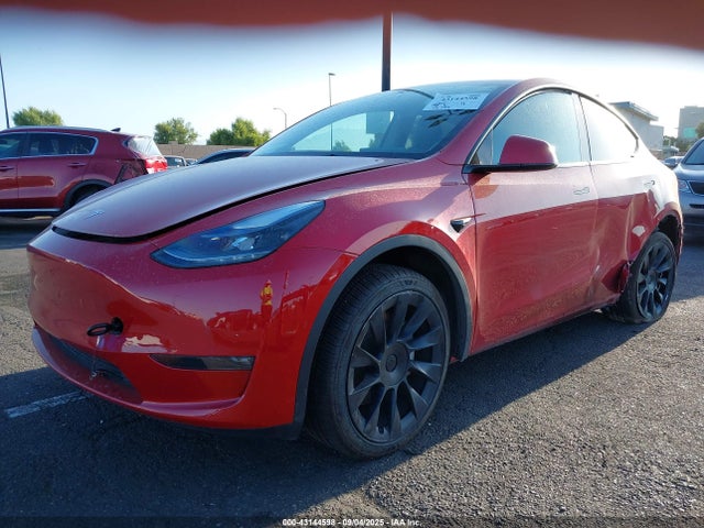 5YJYGAED7MF135497 Tesla Model Y