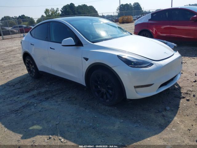2023 TESLA MODEL Y 7SAYGAEE9PF707959