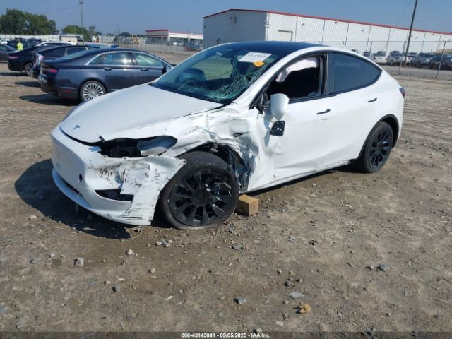 2023 TESLA MODEL Y 7SAYGAEE9PF707959 Photo 1