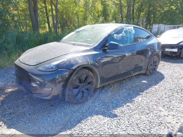 2024 TESLA MODEL Y 7SAYGAEE9RF191251 Photo 1