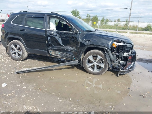 1C4PJMDX1LD503950 Jeep 2020