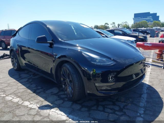 2023 TESLA MODEL Y 7SAYGDEF9PF635882 Photo 0