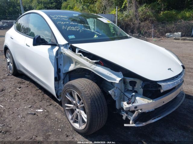 2020 TESLA MODEL Y 5YJYGDEE8LF035966 Photo 0
