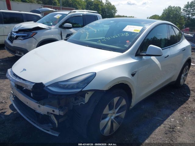 2020 TESLA MODEL Y 5YJYGDEE8LF035966 Photo 1