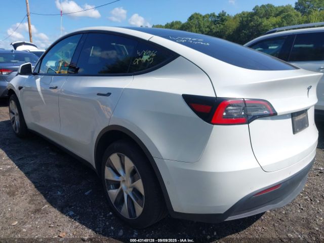 2020 TESLA MODEL Y 5YJYGDEE8LF035966 Photo 2