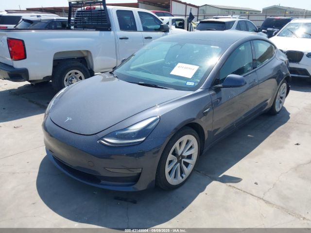 2023 TESLA MODEL 3 5YJ3E1EA3PF429053 Photo 1