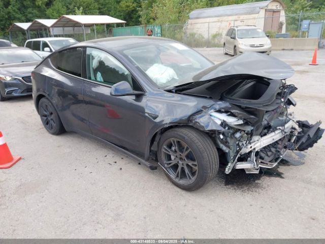 2025 TESLA MODEL Y 7SAYGDED4SF257882 Photo 0