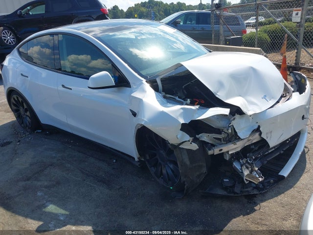 2023 TESLA MODEL Y 7SAYGDEFXPF761846 Photo 0