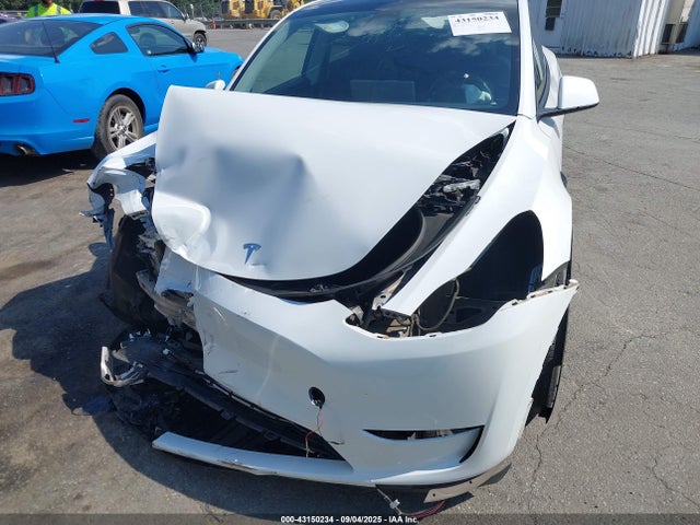 2023 TESLA MODEL Y 7SAYGDEFXPF761846 Photo 5
