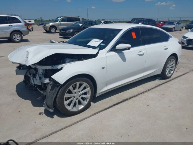 2024 CADILLAC CT5 1G6DM5RK8R0116067 Photo 1