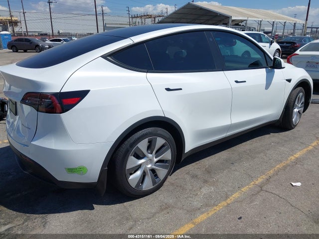 2023 TESLA MODEL Y 7SAYGDEE9PA081036 Photo 3