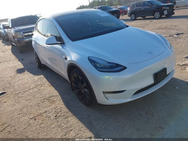 2023 TESLA MODEL Y 7SAYGDEE6PA121766 Photo 0