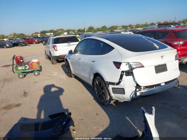 2023 TESLA MODEL Y 7SAYGDEE6PA121766 Photo 2