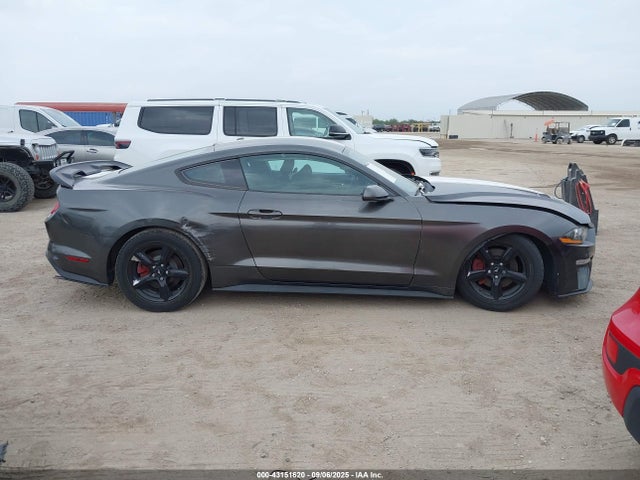 Ford 4v 2019 1FA6P8TH5K5102105 Image 13