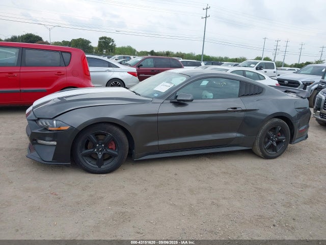 Ford 4v 2019 1FA6P8TH5K5102105 Image 14