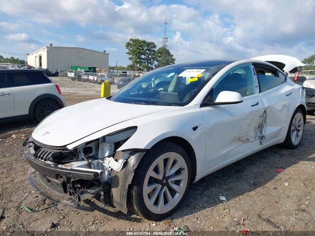 2023 TESLA MODEL 3 5YJ3E1EA6PF602600 Photo 5